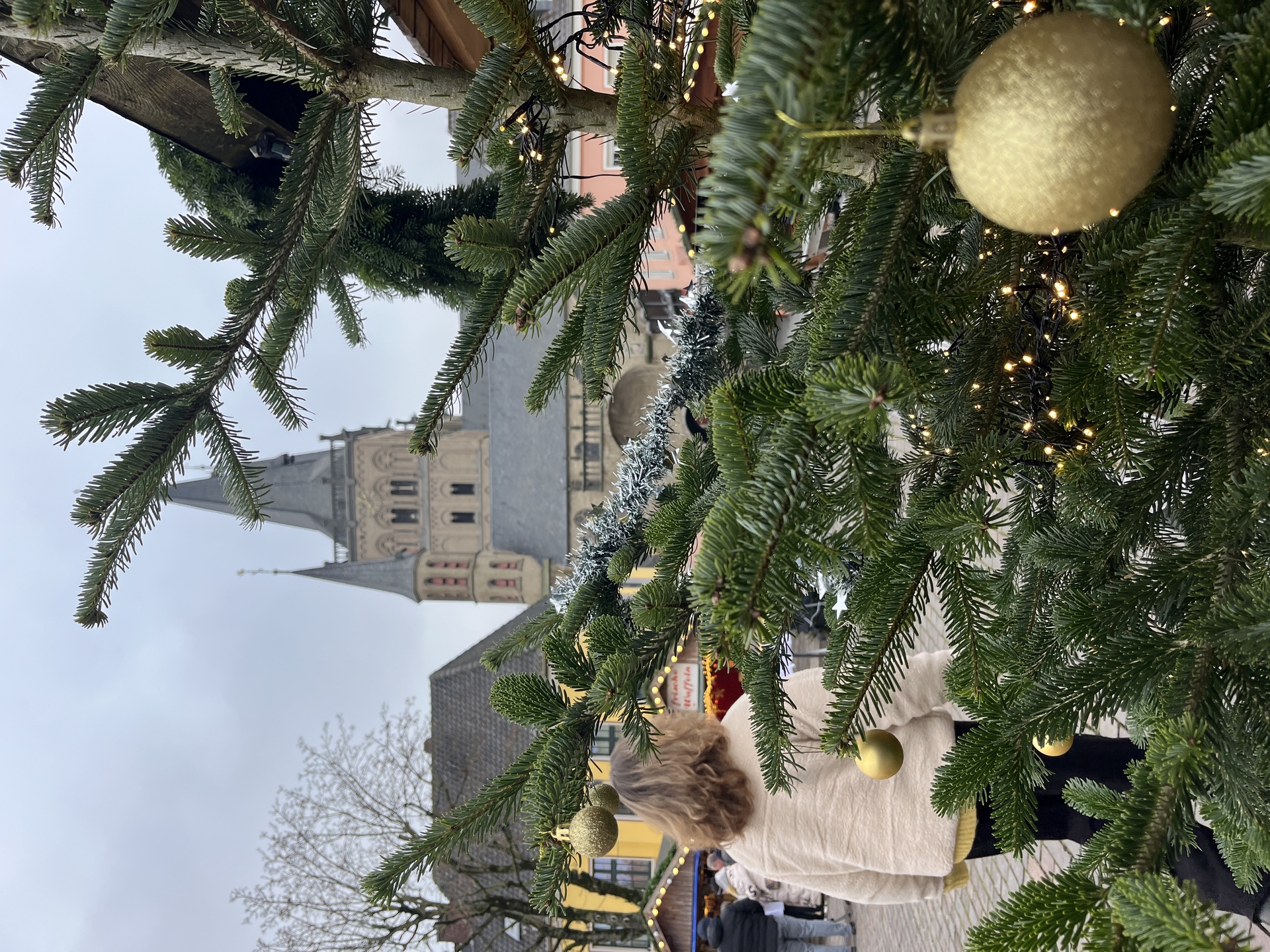 kerstboom buiten zwekwielen